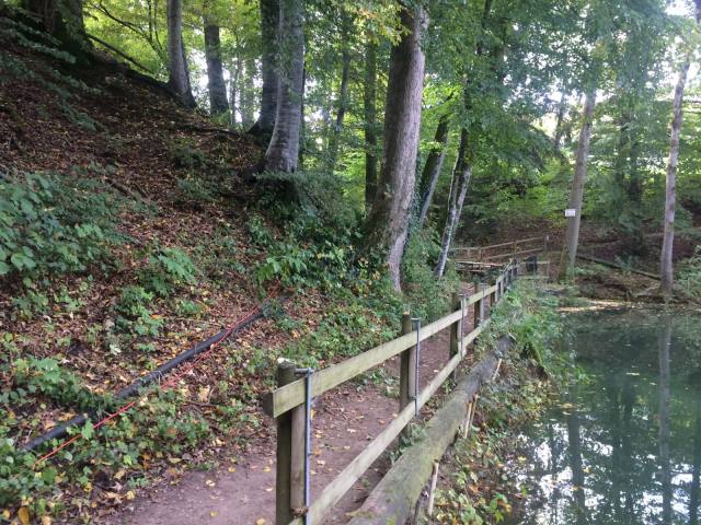Herbstfischen 2015 — Bild 6