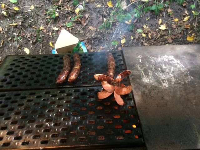 Herbstfischen 2015 — Bild 7