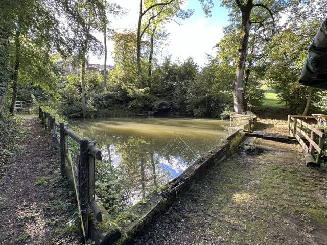 Herbstfischen 2023 — Bild 2