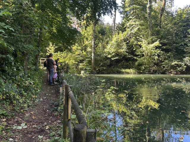 Herbstfischen 2025 — Bild 2