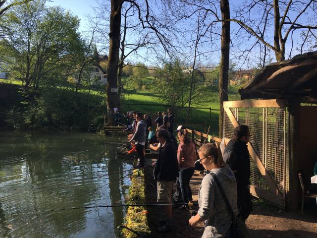 Osterfischen 2017 — Bild 2