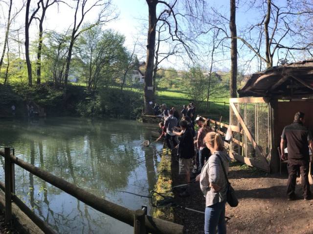 Osterfischen 2017 — Bild 3