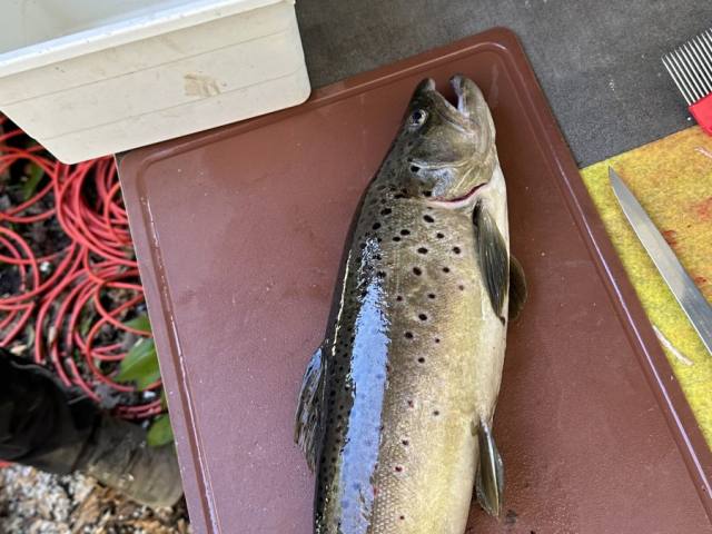 Osterfischen 2024 — Bild 7