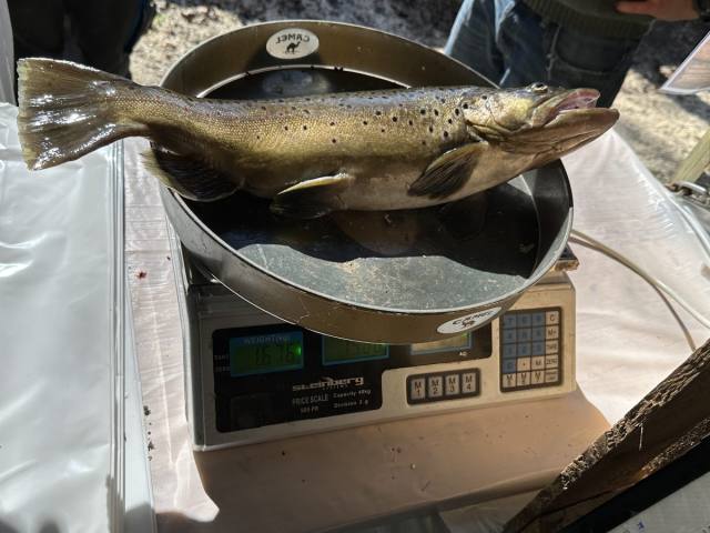 Osterfischen 2024 — Bild 8