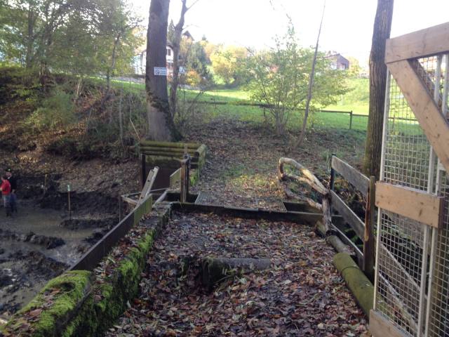Weiher putzen 2013 — Bild 2