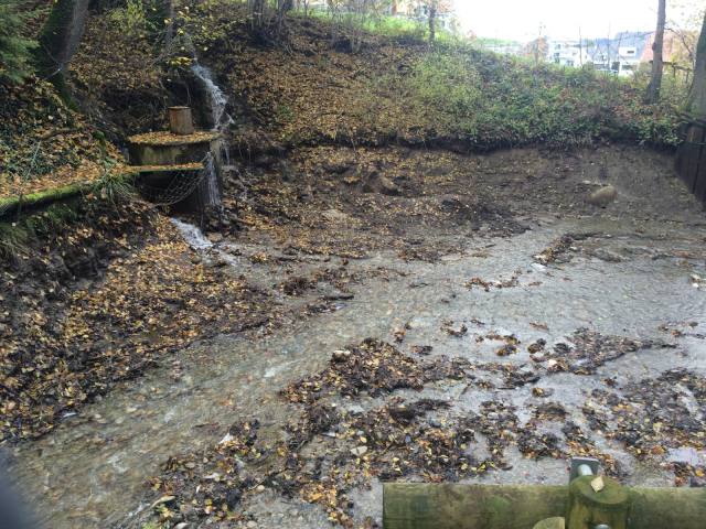 Weiher putzen 2014 — Bild 5