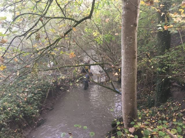 Weiher putzen 2017