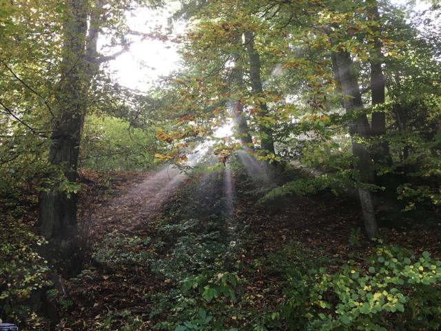 Weiher putzen 2017 — Bild 3