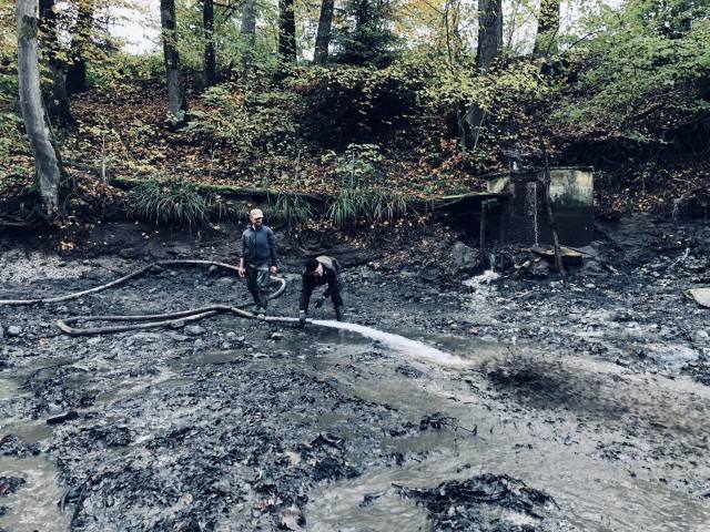 Weiher putzen 2019 — Bild 2