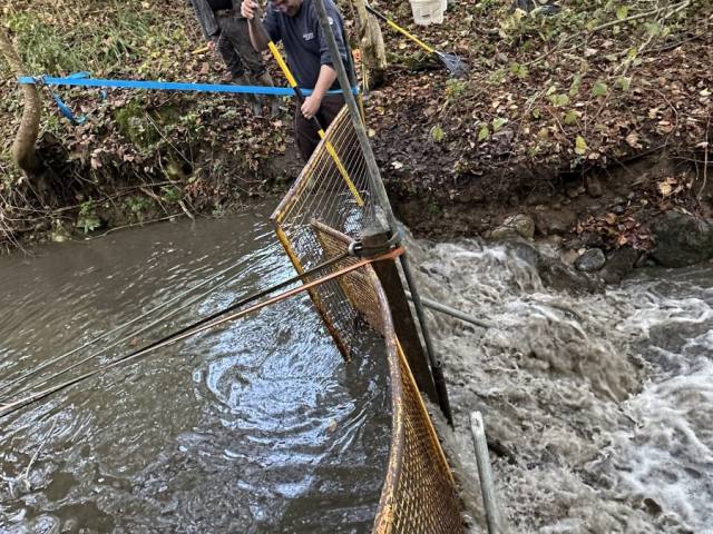 Weiher putzen 2022 — Bild 2